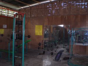 OLYMPUS DIGITAL CAMERA